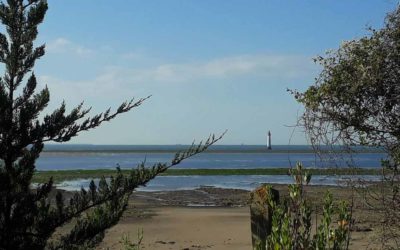 Journée yoga et voyage sonore sur l’île de Ré le samedi 05 Octobre 2019