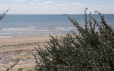 Journée yoga et voyage sonore sur l’île de Ré le samedi 07 Mai 2022 de 10h00 à 17h00