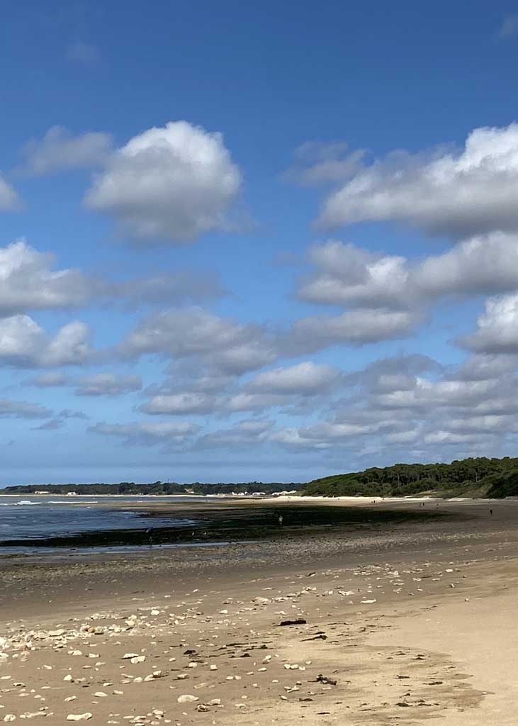 Stage de Yoga et Nutrition à Longeville sur mer